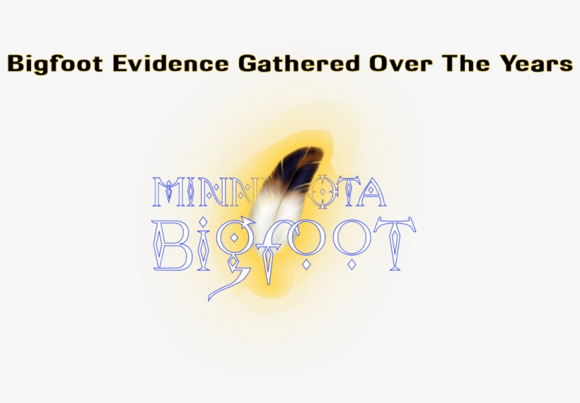 #bigfoot #sasquatch New Video Highlighting The Evidence - Calligraphy, transparent png download
