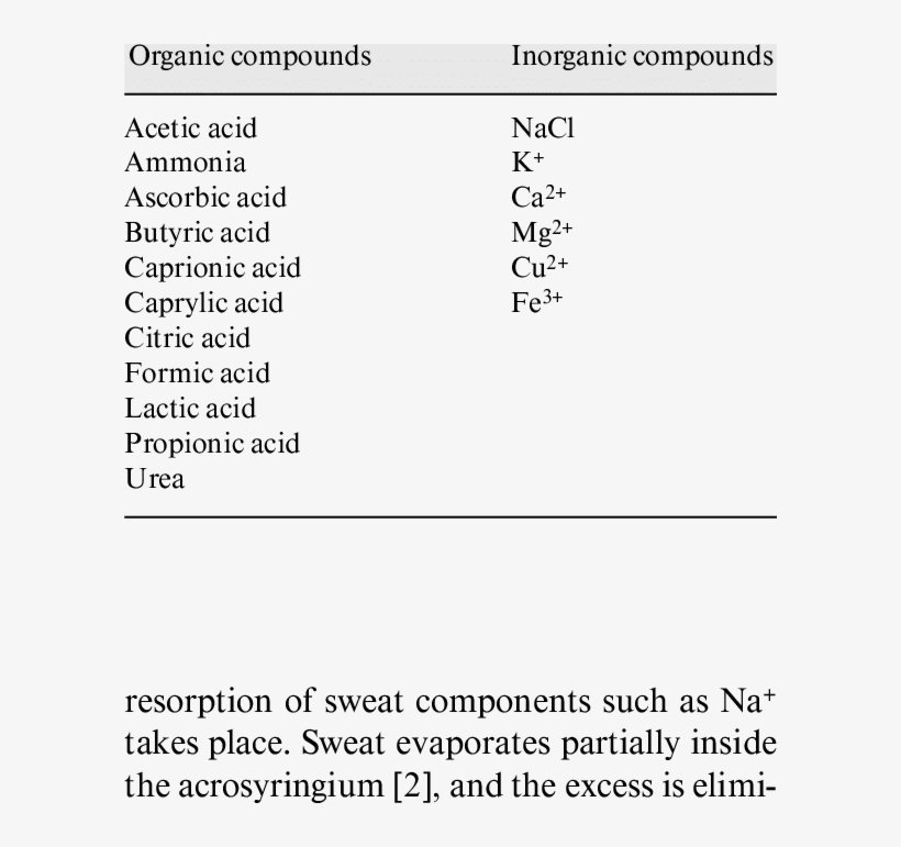 Eccrine Sweat Composition Kata Sifat Transparent Png 594x691 Free Download On Nicepng