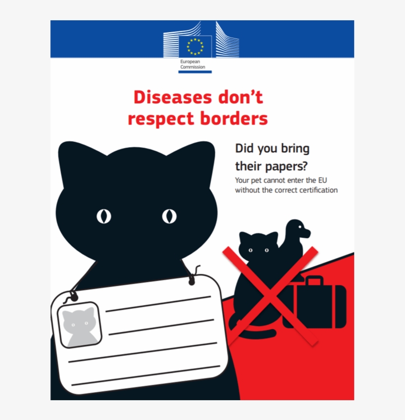 The Rules You Must Follow To Get To Italy With A Dog, - Krankheiten Machen An Grenzen Nicht Halt, transparent png download