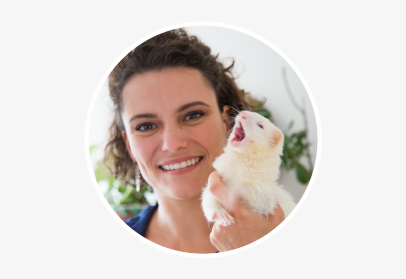 If You Care About Your Ferret, Then Making Sure That - Guinea Pig, transparent png download