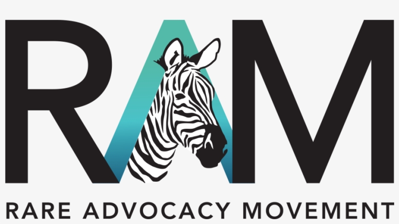 E4b885 - Zebra, transparent png download