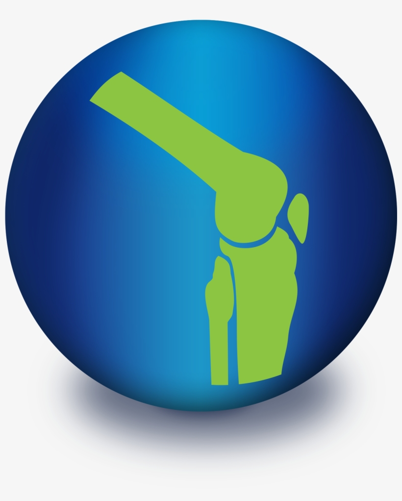 Circle, transparent png download