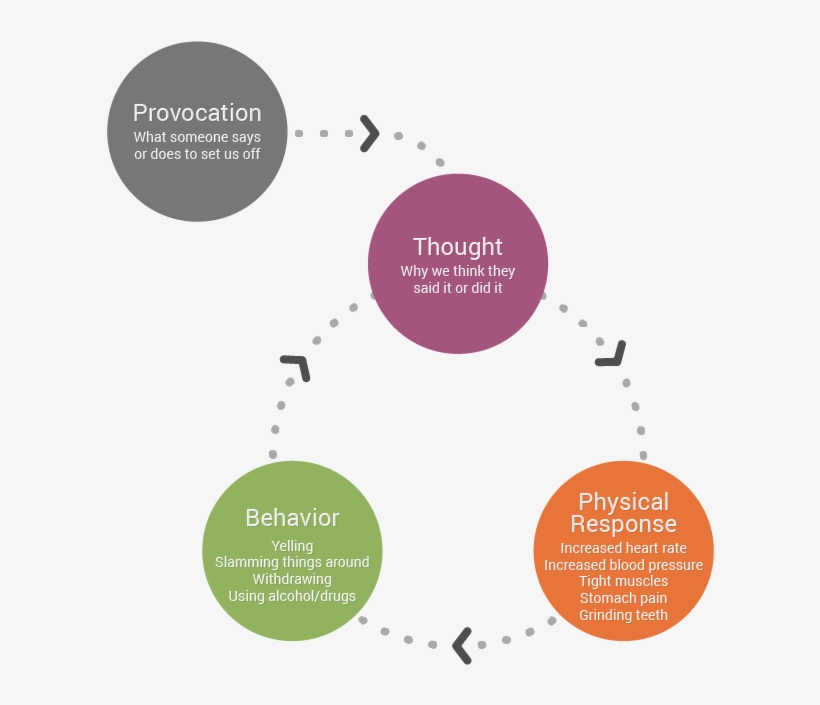 The Caregiver Stress Cycle - Stress Cycle, transparent png download