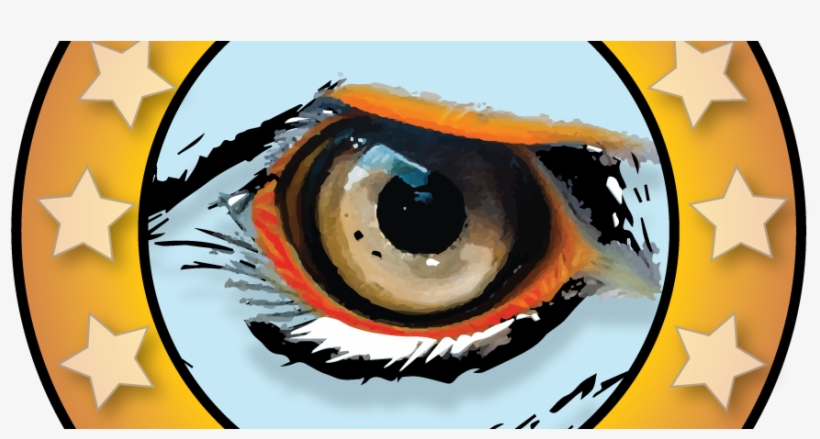 Plant Mechanic- Curaçao - Eagle Eye, transparent png download
