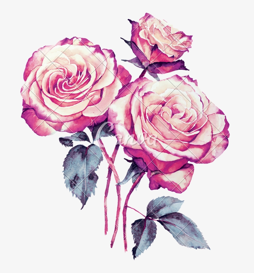 689 X 800 1 - Watercolor Painting, transparent png download