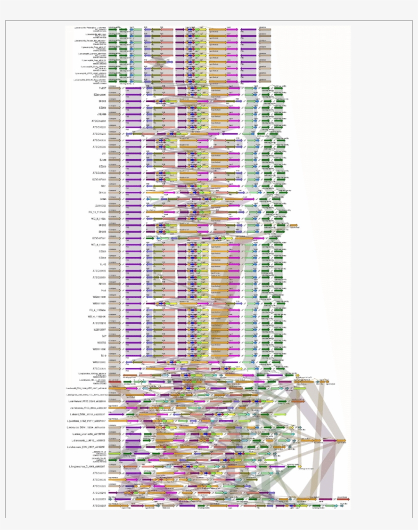 The Box Arrows Represent Orfs - Architecture, transparent png download