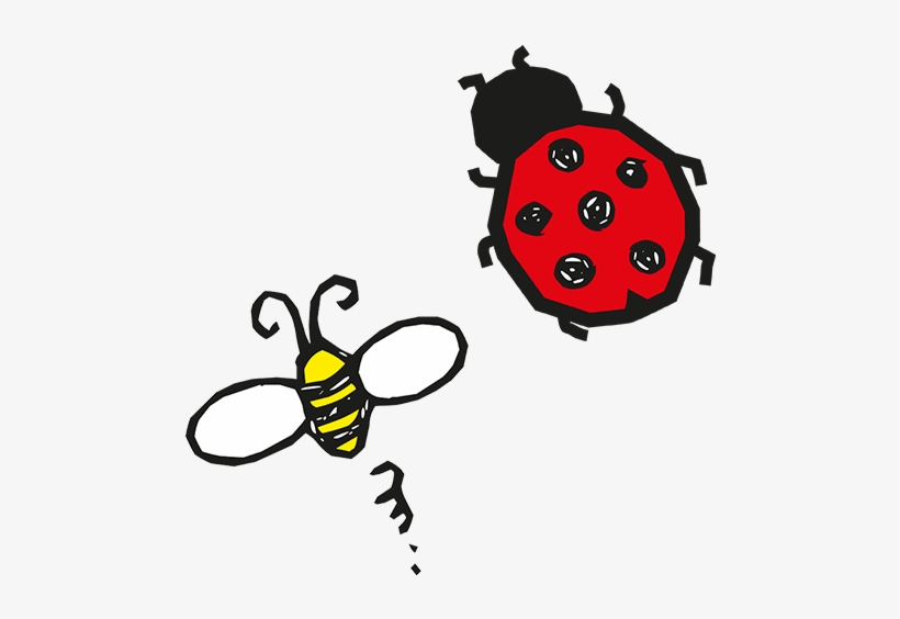 Bumblebees And Ladybirds - Ladybug, transparent png download