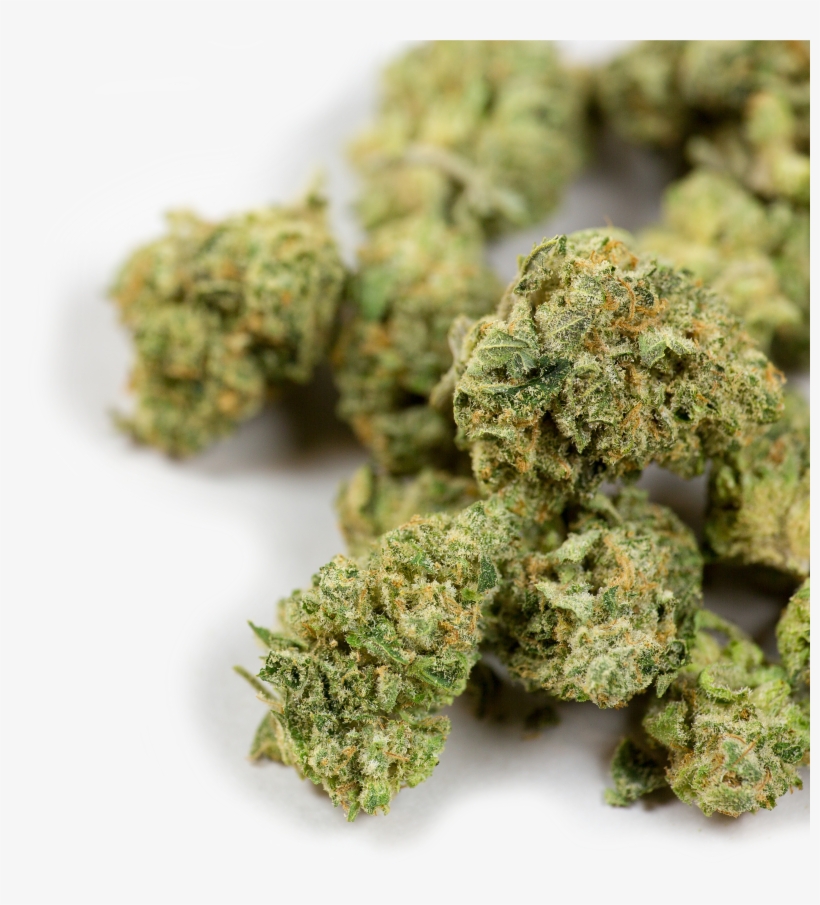 War On Weed, transparent png download