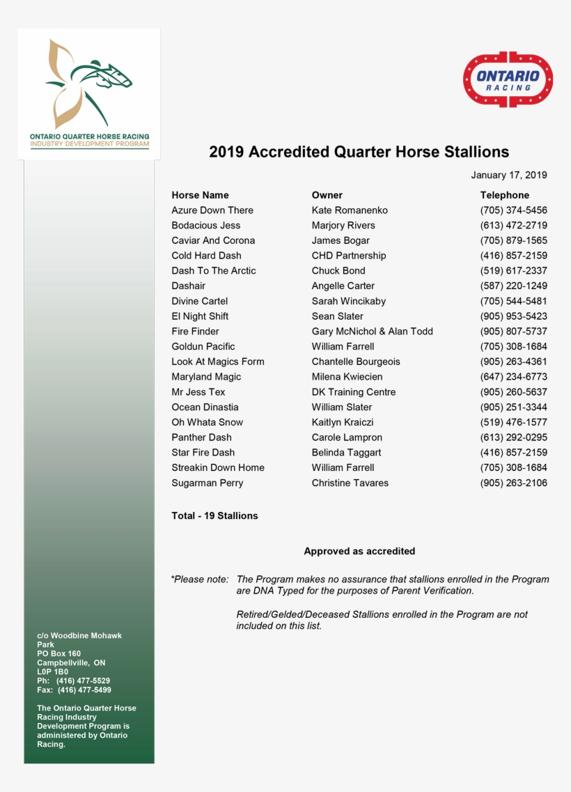 Accred-stallions - Document, transparent png download