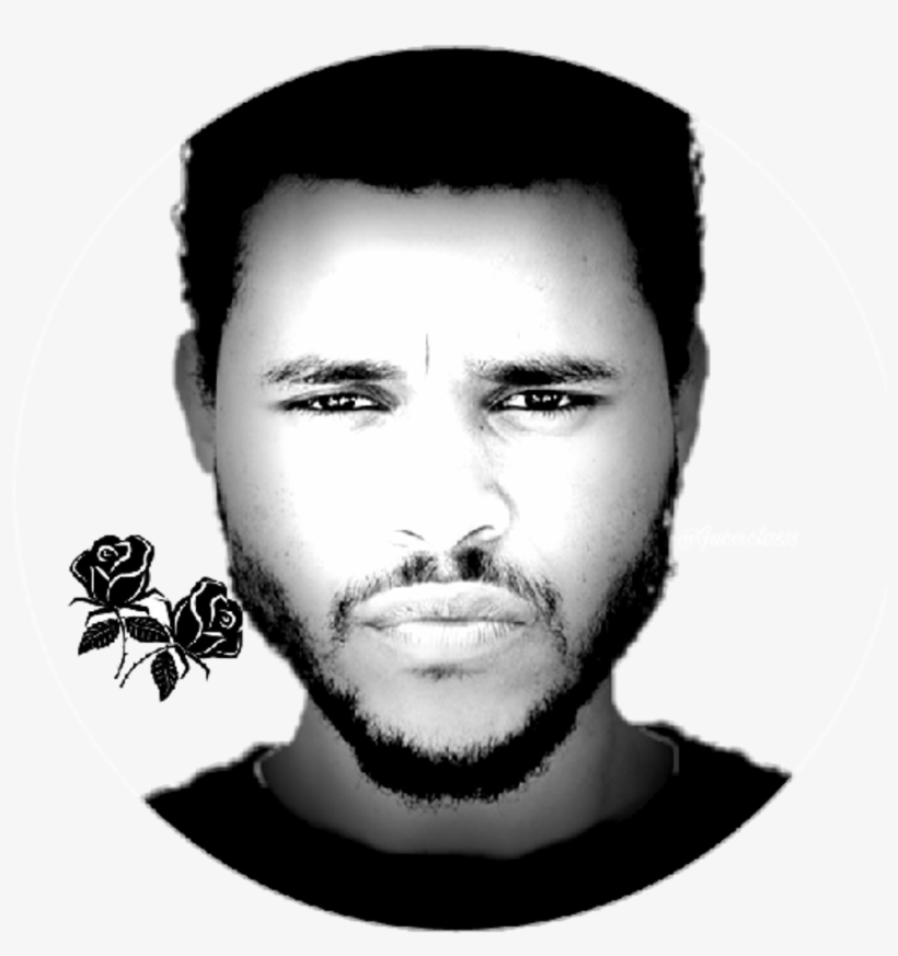 The Sticker - Human, transparent png download