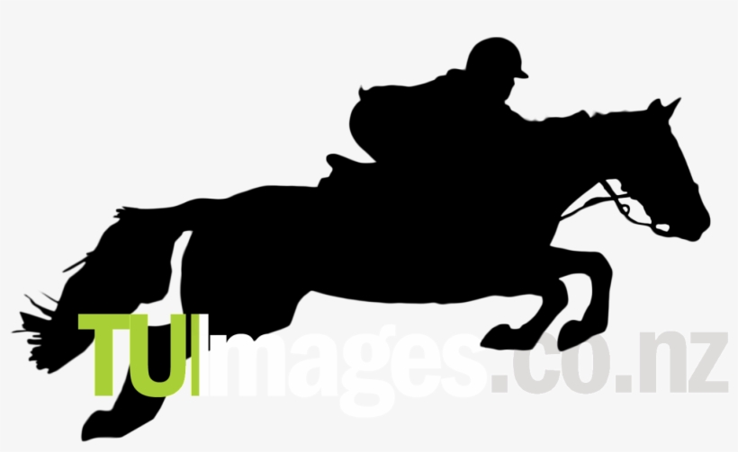 Horse Silhouette Cliparts - Jumping Horse, transparent png download