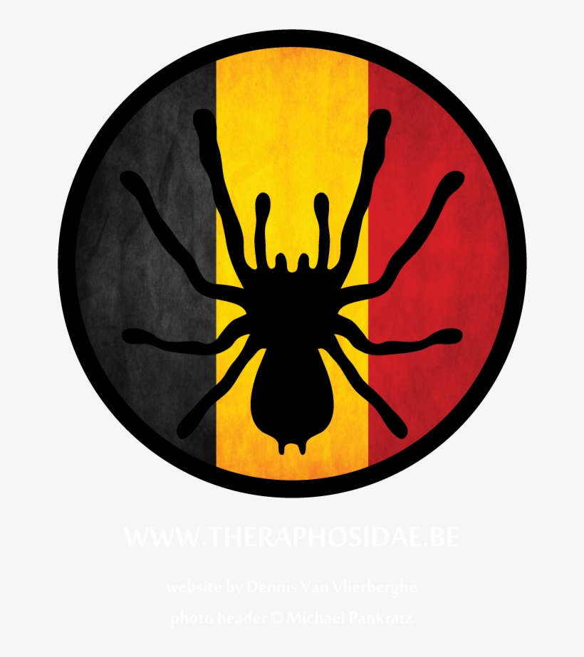 Theraphosidae - Emblem, transparent png download