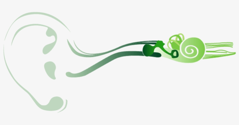 Hearing Loss Vector, transparent png download