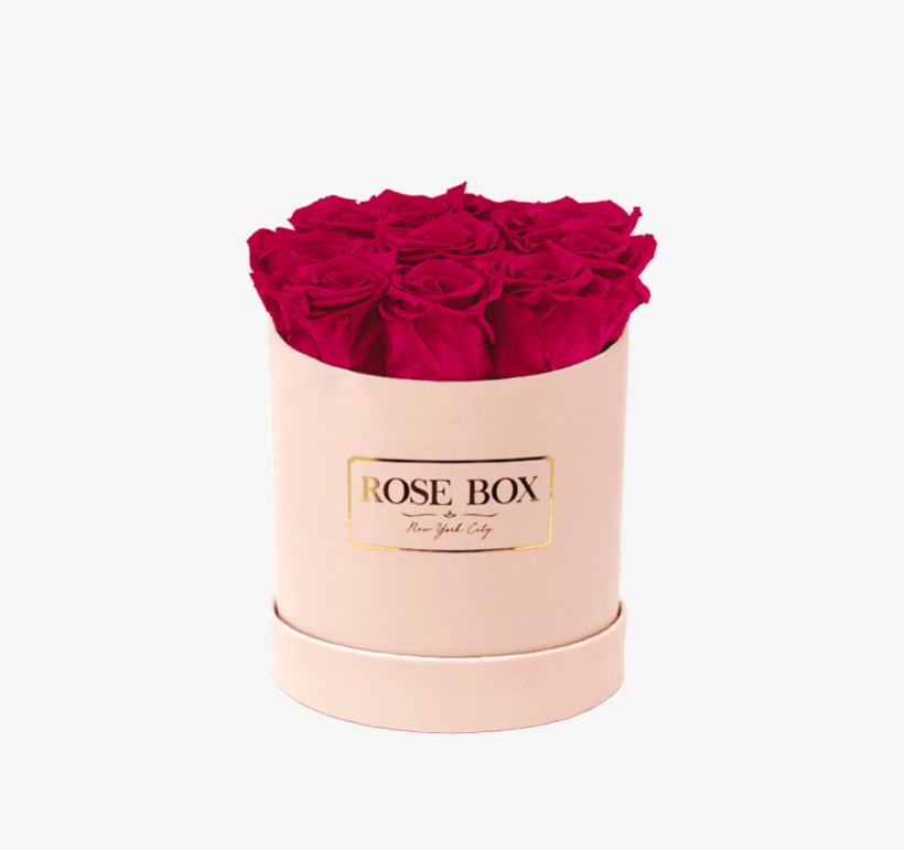 Prev - Garden Roses, transparent png download