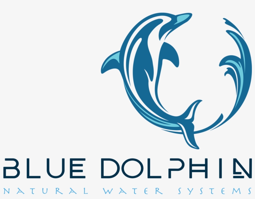 We Would Like To Thank All The Sources Of This Article - Dolphin Vector Art, transparent png download