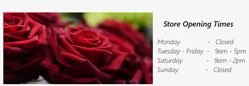 Image - Garden Roses, transparent png download