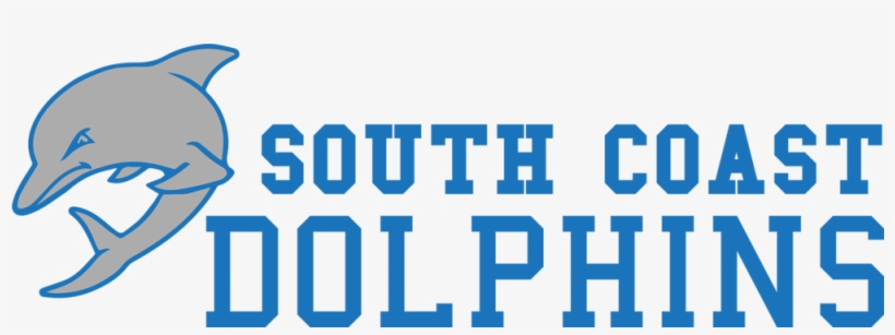 Dolphins Logo Horizontal - Parallel, transparent png download