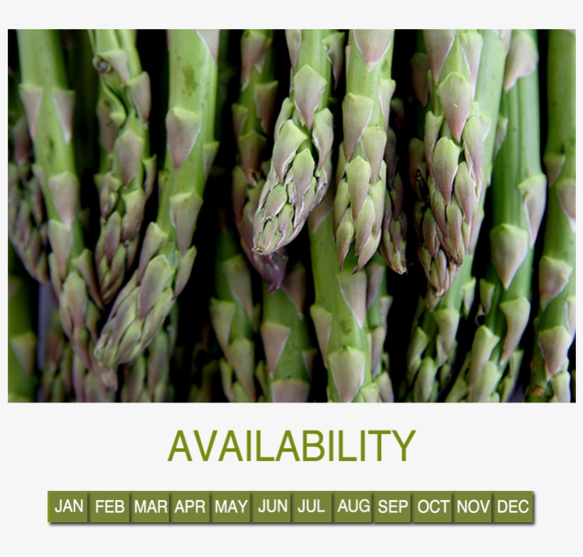 Asparagus - Esparragos, transparent png download