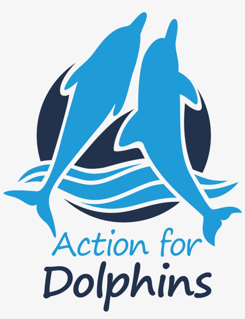 1001 X 1282 2 - Australia For Dolphins, transparent png download