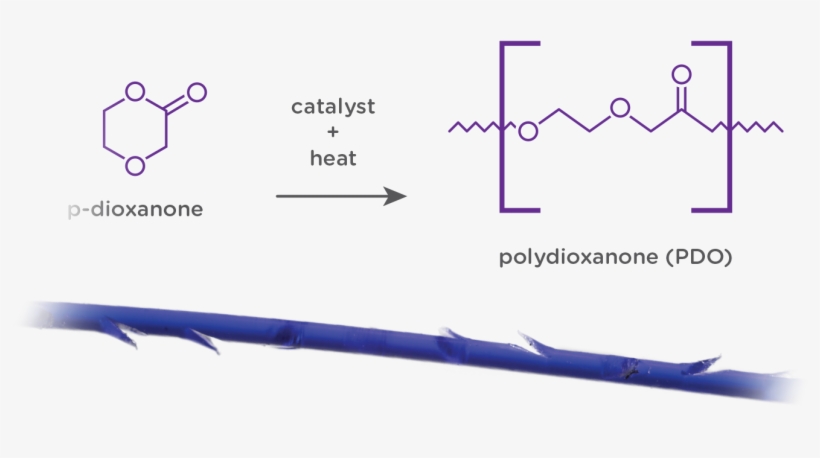 See More - Plot, transparent png download