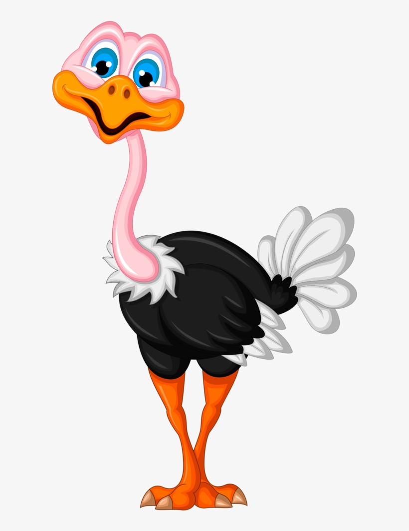Фото, Автор Soloveika На Яндекс - Ostrich Cartoon, transparent png download