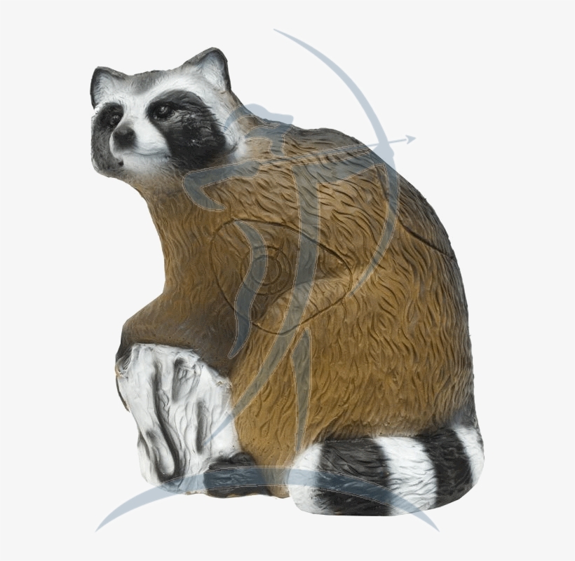 Srt Racoon [08470568] - Raccoon, transparent png download