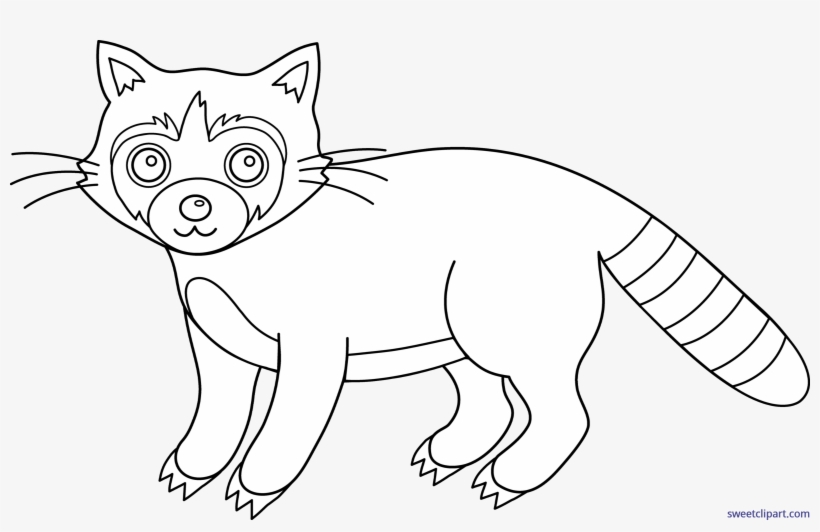 Racoon Clipart Vertebrate - Drawing, transparent png download
