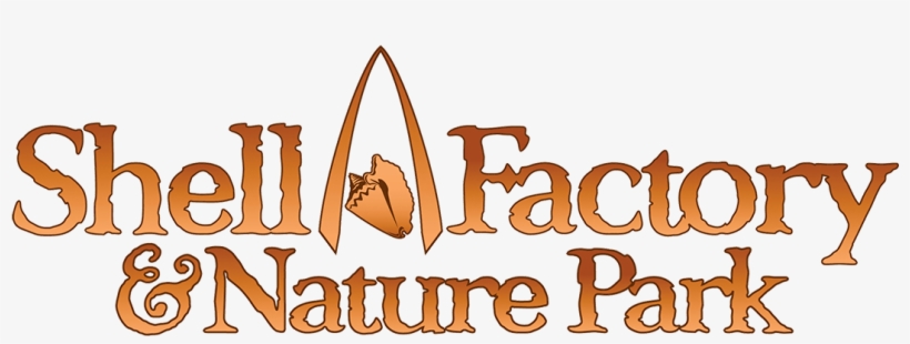 Logo Shell Factory Web - Shell Factory Logo, transparent png download
