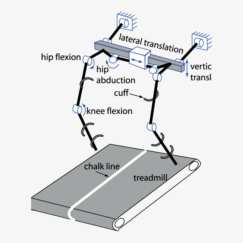 Schematic Of The Experimental Setup - Diagram, transparent png download