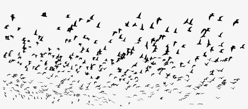 Big Image - Flock, transparent png download