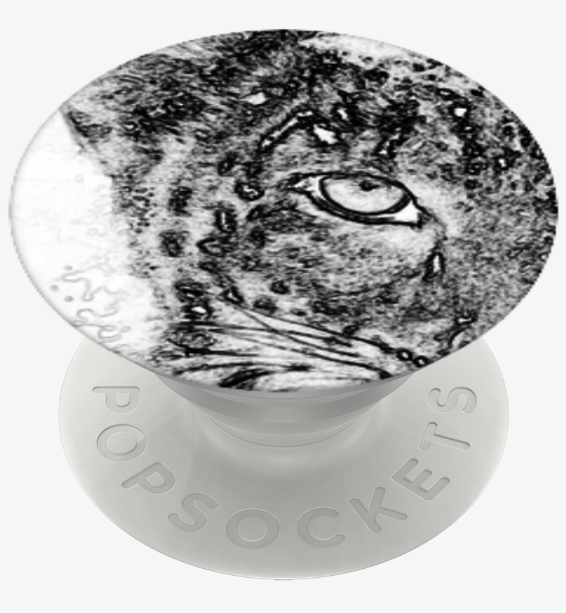 Cats Eyes, Popsockets - Owl, transparent png download