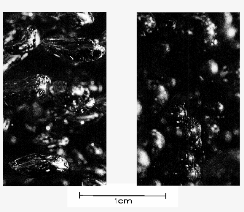 Bubbles With A Mobile Interface In Water , Made Rigid - Monochrome, transparent png download