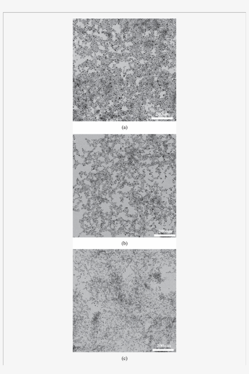Tem Images Of Gold Nanoparticles For Various Amounts - Tile, transparent png download