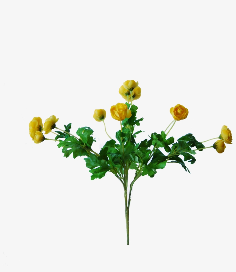 Bouquet, transparent png download