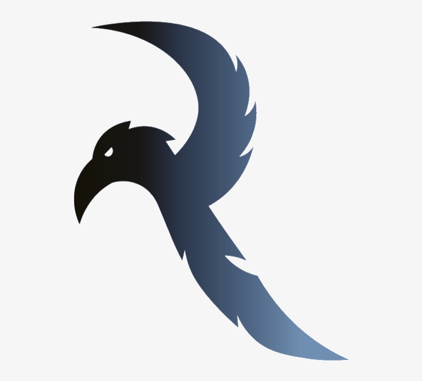 Steller S Jay, transparent png download