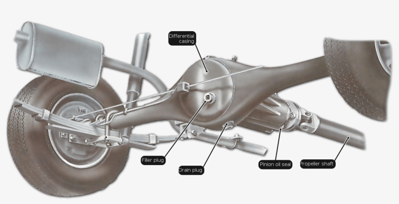 Checking The Rear Axle For Leaks And Changing The Oil - Ejes De Autos, transparent png download