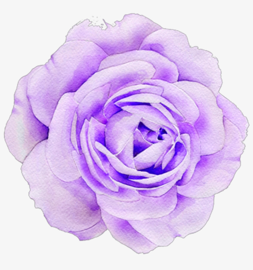 Purple Sticker - Flower Transparent PNG - 1024x1024 - Free Download on
