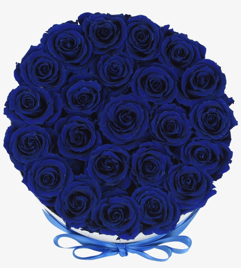 Royal Blue - Royal Blue Roses, transparent png download
