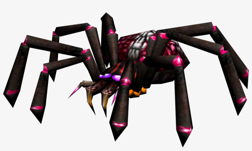 Spider, transparent png download