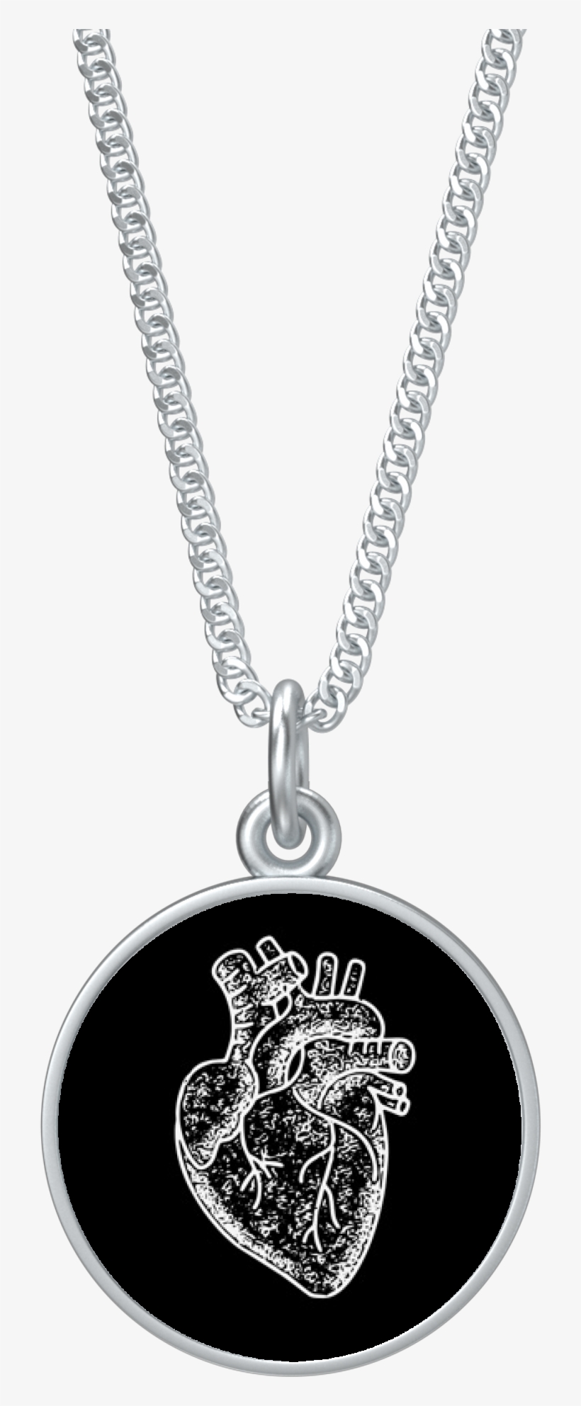 Anatomical Heart Coin Pendant On Chain - Silver, transparent png download