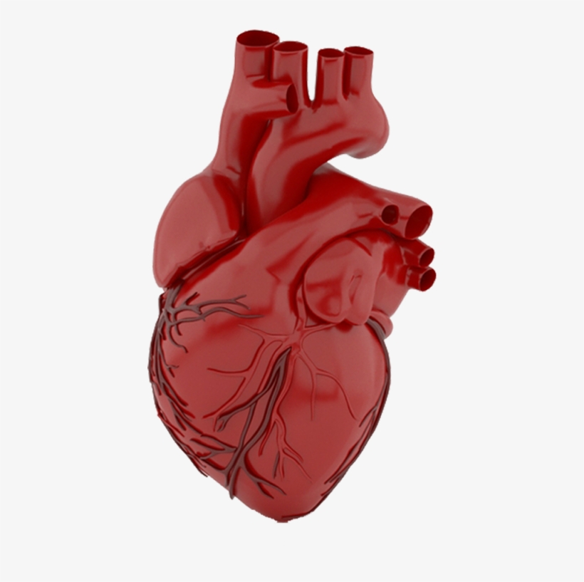 Heart - Illustration, transparent png download