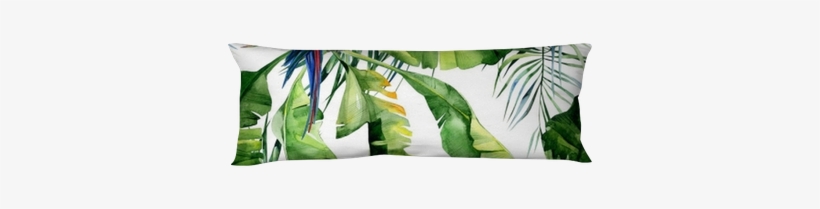 Strelitzia Reginae Flower - Cushion, transparent png download