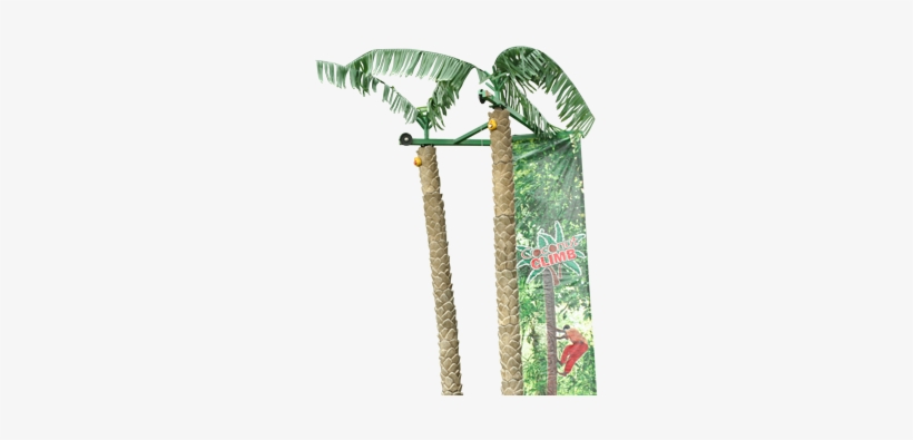 Palm-tree - Coconut Tree Climb Rental, transparent png download