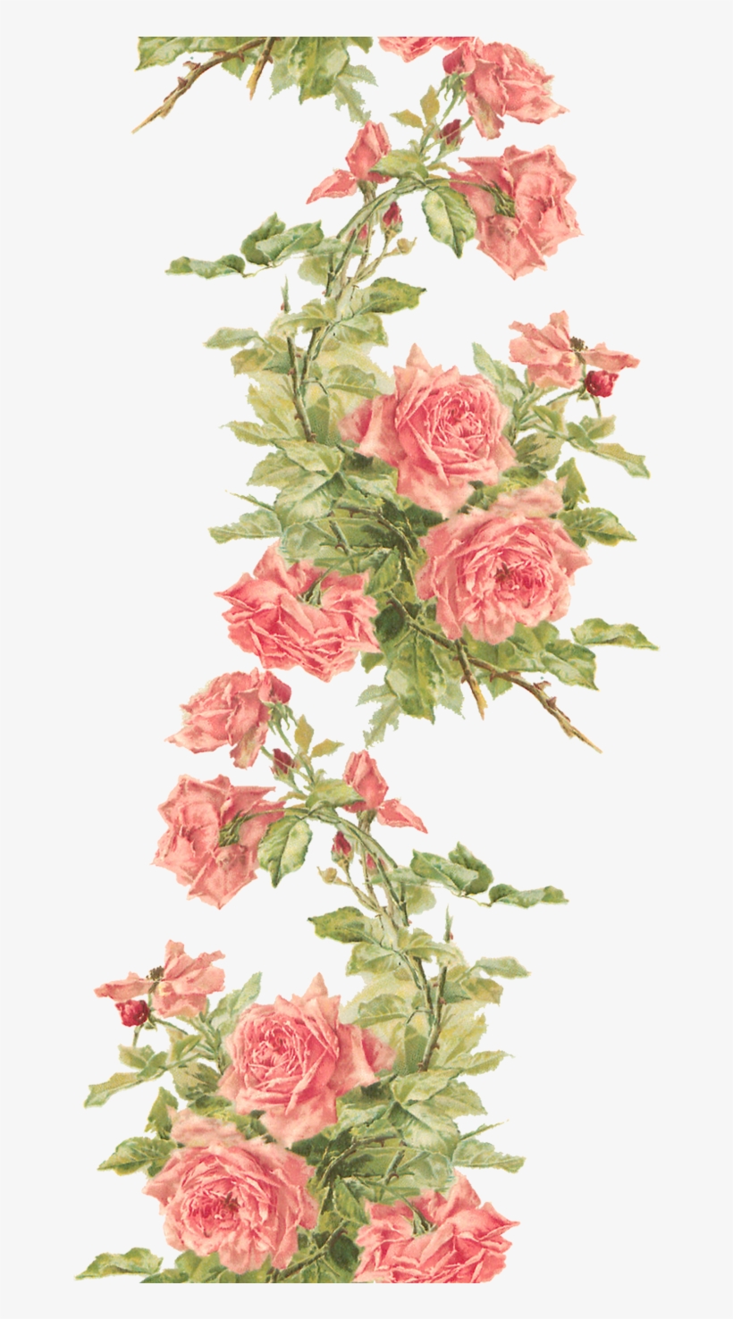 Remember It Is Png So You Need To Keep All The Air - Flower Border No Background, transparent png download