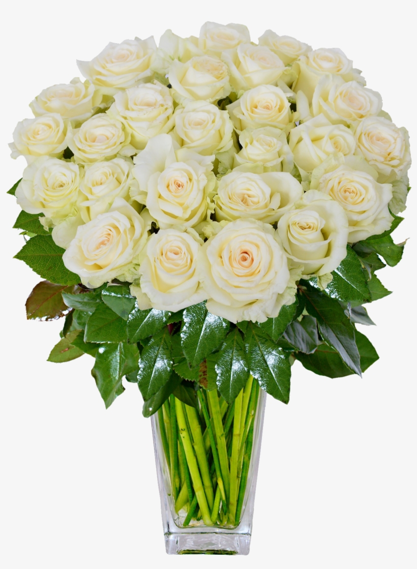 White Roses Png, transparent png download