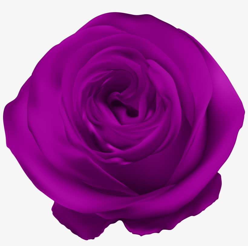 Rose Clip Art Gallery, transparent png download