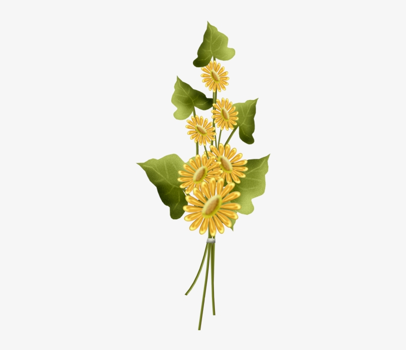0 1623df E06e1c5d Orig - Flower, transparent png download