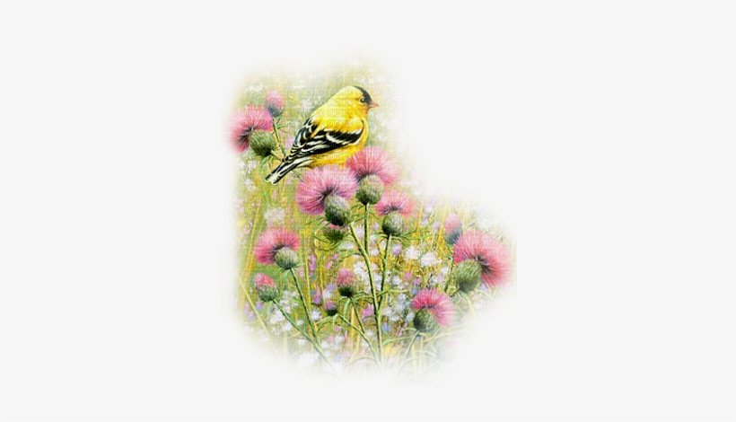 Kaz Creations Birds Bird Paysage Scenery - Bird, transparent png download