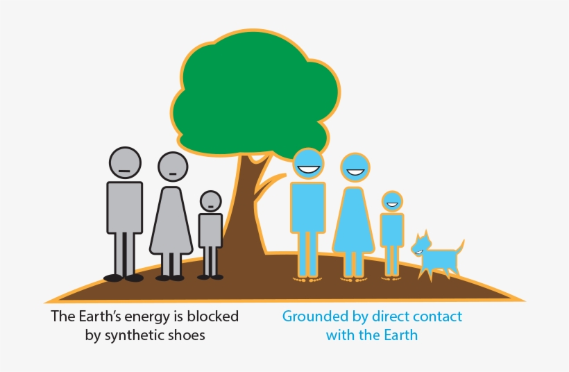 The Human Body Is Exquisitely Receptive To These Signals - Serotonin, transparent png download