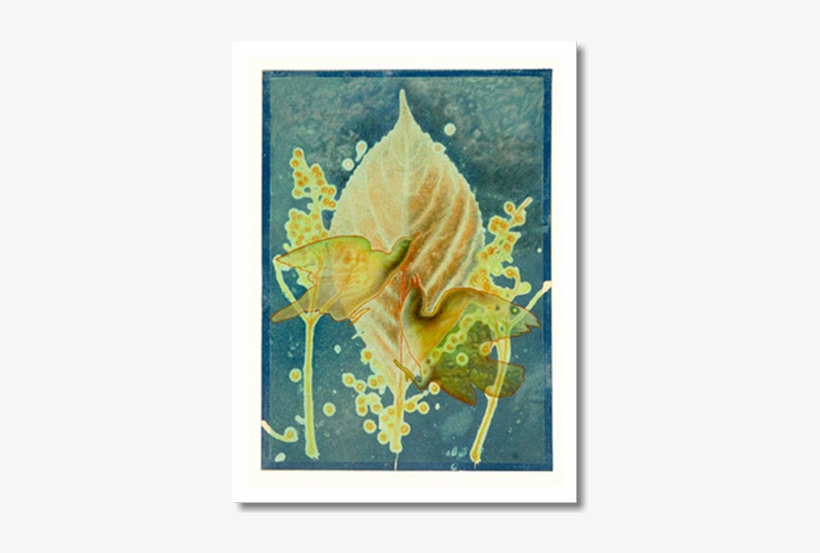 Still Life, transparent png download
